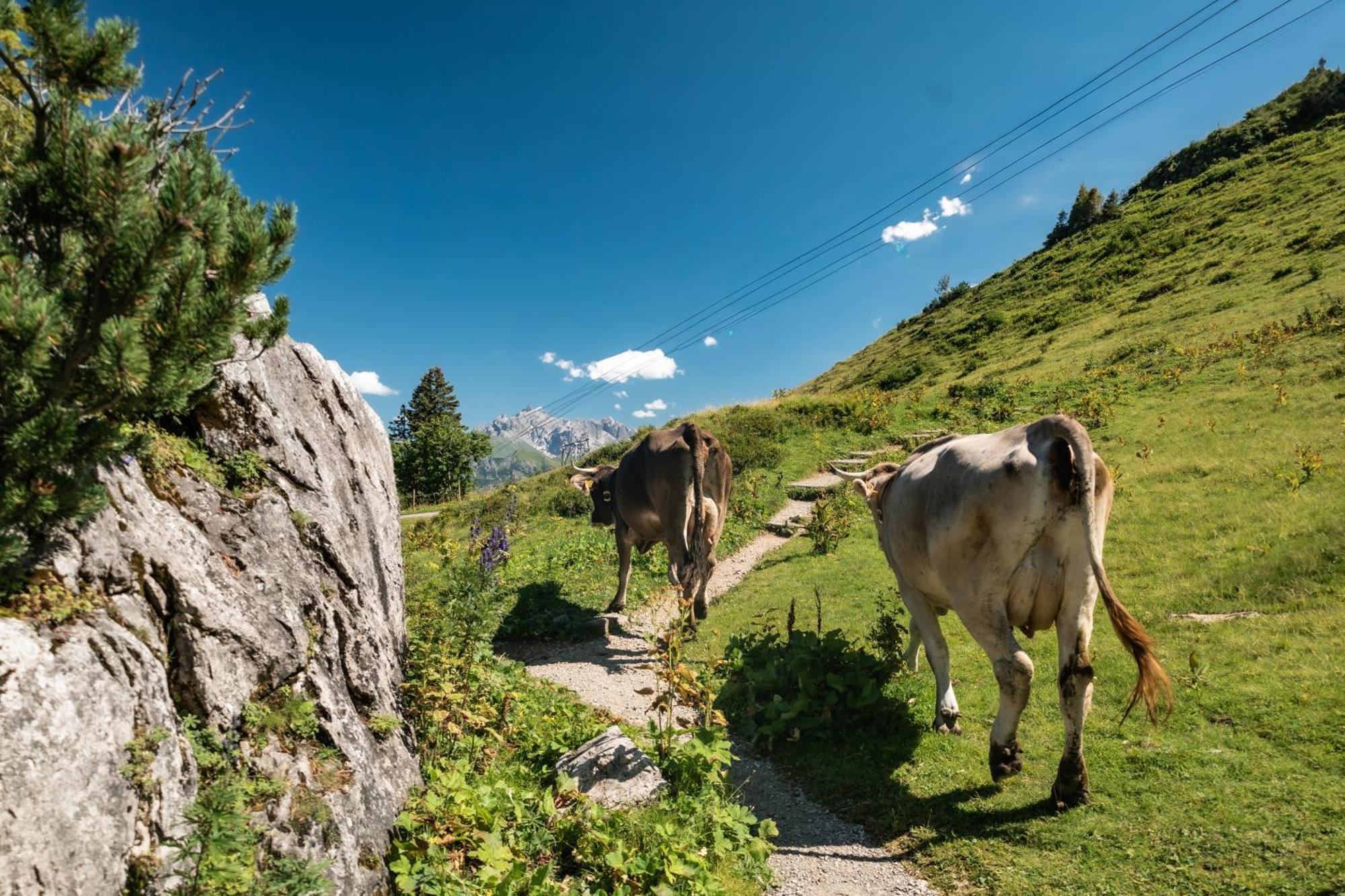 Ferienhaus Geiger โอเบอร์สทดอร์ฟ ภายนอก รูปภาพ
